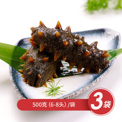 大连瓦房店地标深海特大海参